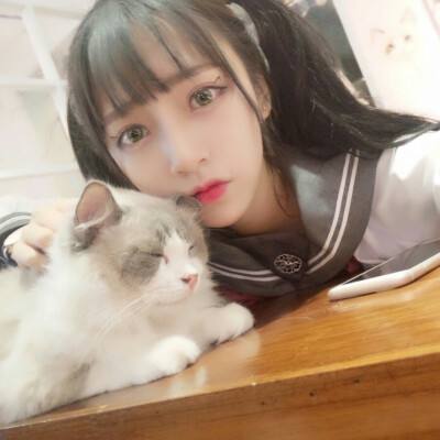 ploop游戏